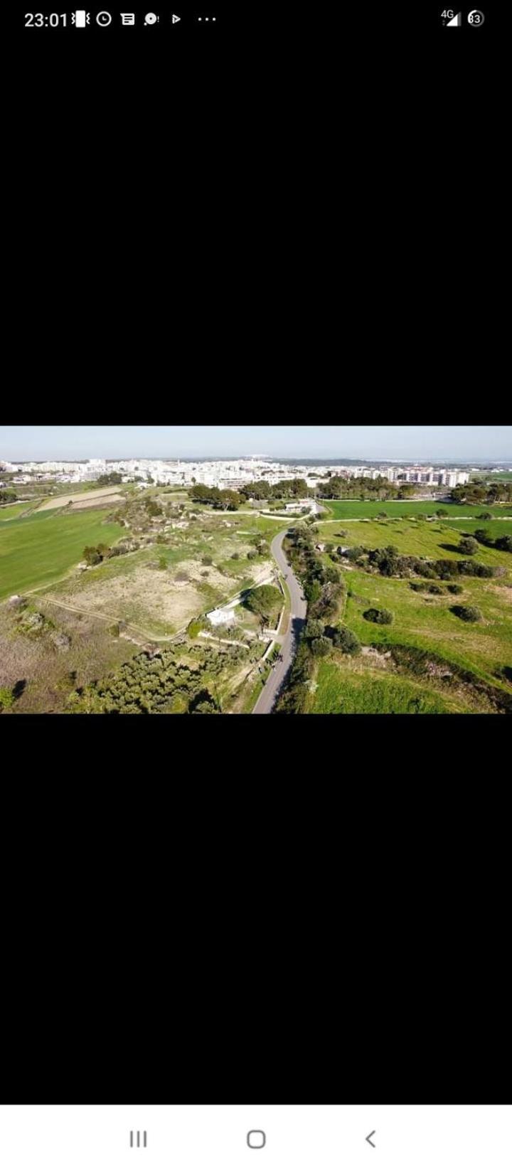 L' Arche Apartman Castellaneta Kültér fotó
